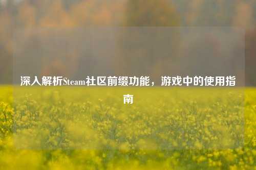 深入解析Steam社区前缀功能，游戏中的使用指南
