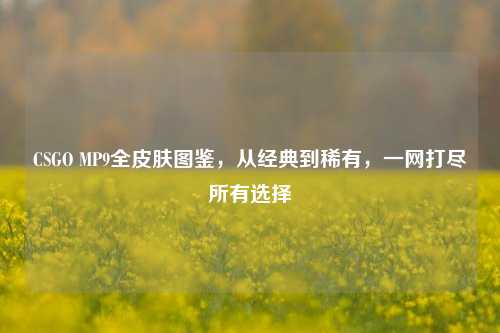 CSGO MP9全皮肤图鉴,从经典到稀有,一网打尽所有选择