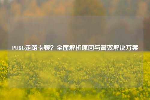 PUBG走路卡顿？全面解析原因与高效解决方案