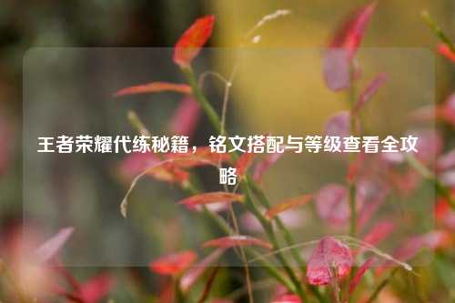 王者荣耀代练秘籍，铭文搭配与等级查看全攻略