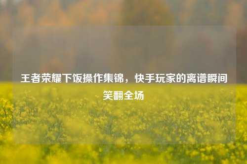 王者荣耀下饭操作集锦，快手玩家的离谱瞬间笑翻全场
