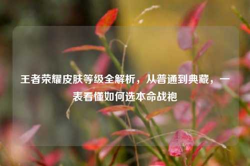 王者荣耀皮肤等级全解析，从普通到典藏，一表看懂如何选本命战袍