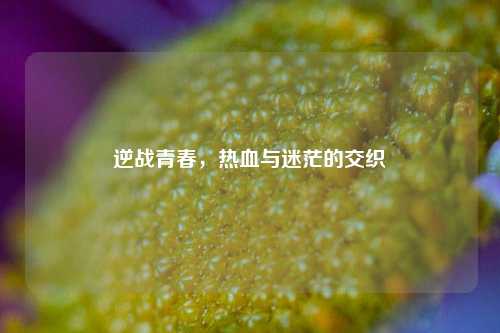 逆战青春,热血与迷茫的交织