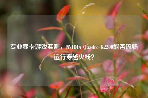 专业显卡游戏实测，NVIDIA Quadro K2200能否流畅运行穿越火线？