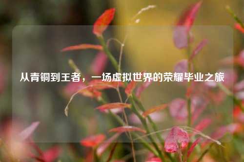 从青铜到王者，一场虚拟世界的荣耀毕业之旅