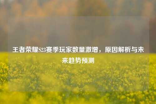 王者荣耀S23赛季玩家数量激增，原因解析与未来趋势预测