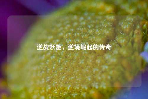 逆战妖姬，逆境崛起的传奇
