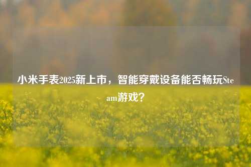 小米手表2025新上市，智能穿戴设备能否畅玩Steam游戏？