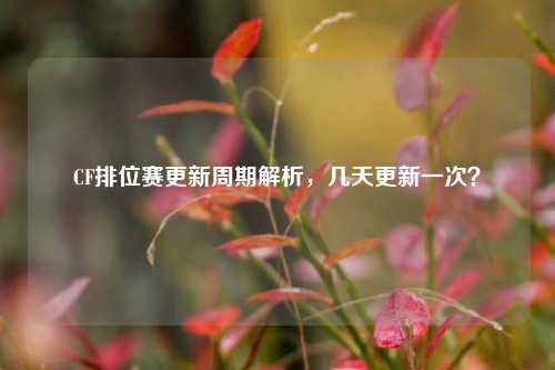 CF排位赛更新周期解析，几天更新一次？