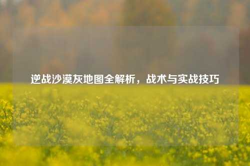 逆战沙漠灰地图全解析，战术与实战技巧