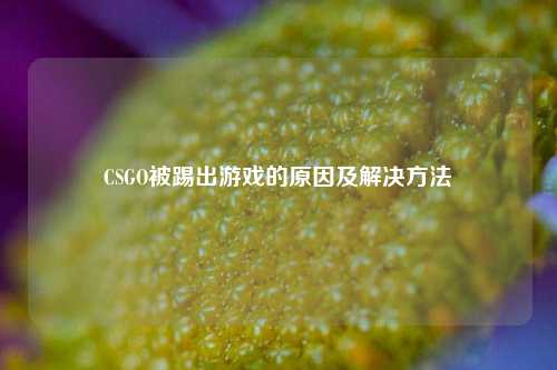 CSGO被踢出游戏的原因及解决方法