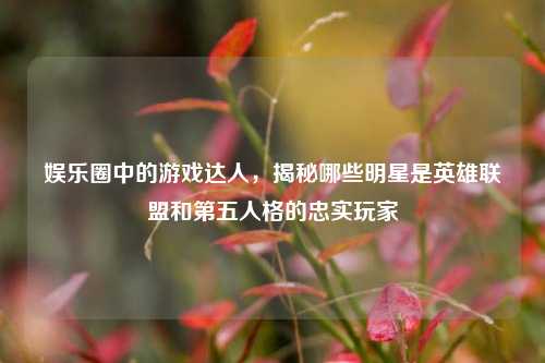 娱乐圈中的游戏达人,揭秘哪些明星是英雄联盟和第五人格的忠实玩家