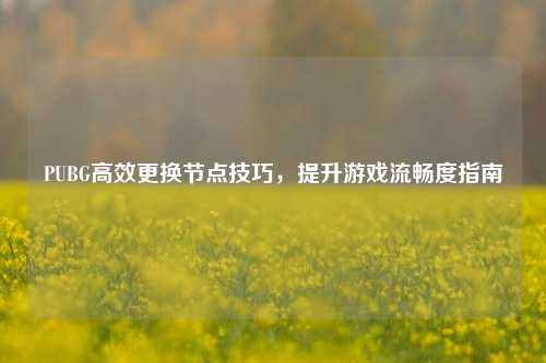 PUBG高效更换节点技巧，提升游戏流畅度指南