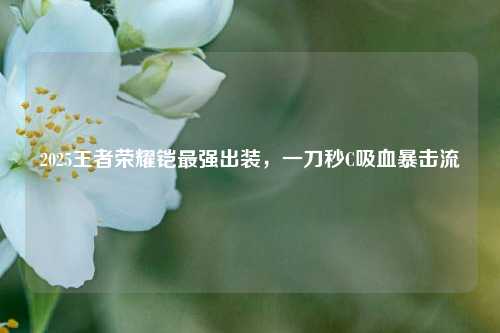 2025王者荣耀铠最强出装，一刀秒C吸血暴击流