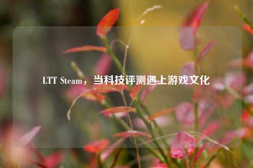 LTT Steam,当科技评测遇上游戏文化