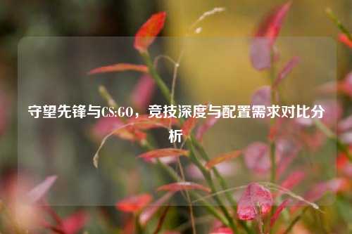 守望先锋与CS:GO,竞技深度与配置需求对比分析