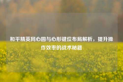 和平精英同心圆与心形键位布局解析，提升操作效率的战术秘籍