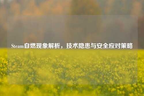 Steam自燃现象解析,技术隐患与安全应对策略