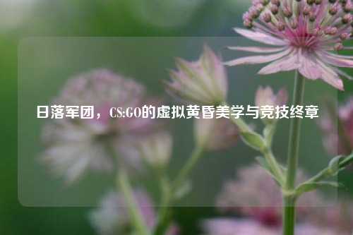 日落军团，CS:GO的虚拟黄昏美学与竞技终章