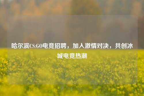 哈尔滨CS:GO电竞招聘,加入激情对决,共创冰城电竞热潮