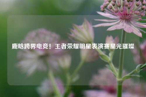 鹿晗跨界电竞！王者荣耀明星表演赛星光璀璨