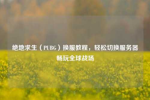 绝地求生（PUBG）换服教程，轻松切换服务器畅玩全球战场