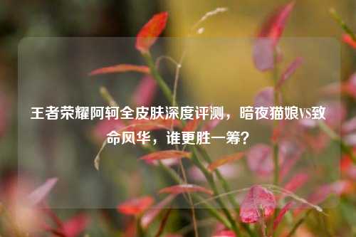 王者荣耀阿轲全皮肤深度评测，暗夜猫娘VS致命风华，谁更胜一筹？