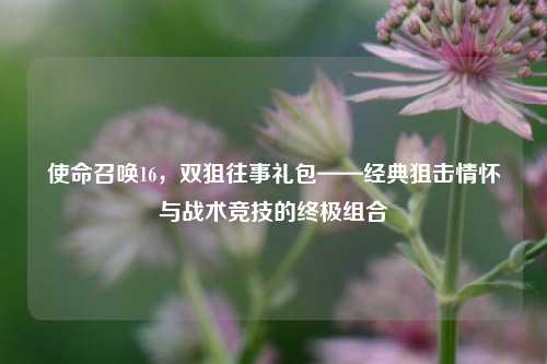 使命召唤16,双狙往事礼包——经典狙击情怀与战术竞技的终极组合