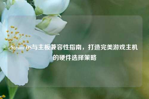 Steam OS与主板兼容性指南,打造完美游戏主机的硬件选择策略