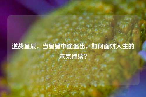 逆战星辰，当星星中途退出，如何面对人生的未完待续？
