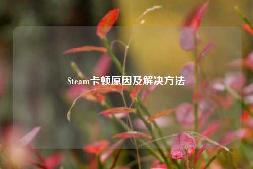 Steam卡顿原因及解决方法