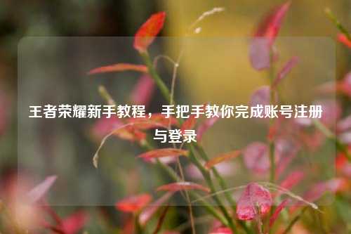王者荣耀新手教程，手把手教你完成账号注册与登录