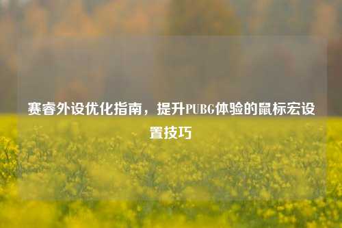 赛睿外设优化指南,提升PUBG体验的鼠标宏设置技巧