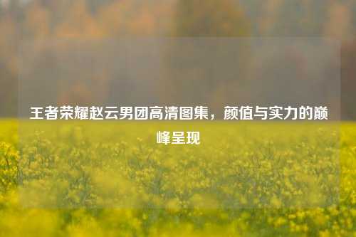 王者荣耀赵云男团高清图集,颜值与实力的巅峰呈现