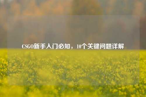 CSGO新手入门必知，10个关键问题详解