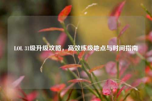 LOL 31级升级攻略，高效练级地点与时间指南