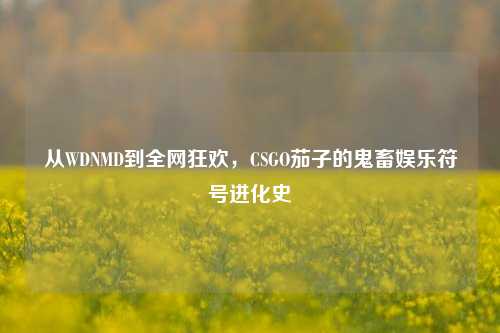 从WDNMD到全网狂欢,CSGO茄子的鬼畜娱乐符号进化史