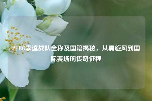 PUBG李逵战队全称及国籍揭秘,从黑旋风到国际赛场的传奇征程