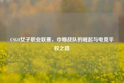 CSGO女子职业联赛，巾帼战队的崛起与电竞平权之路
