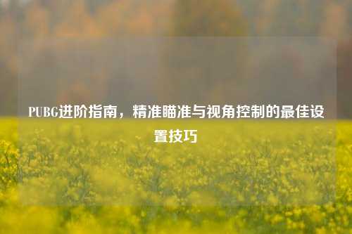 PUBG进阶指南，精准瞄准与视角控制的最佳设置技巧