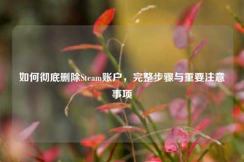 如何彻底删除Steam账户，完整步骤与重要注意事项
