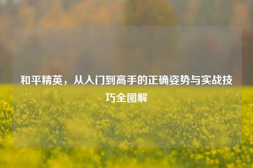 和平精英,从入门到高手的正确姿势与实战技巧全图解