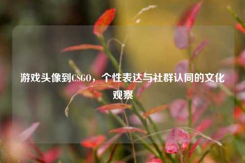 游戏头像到CSGO，个性表达与社群认同的文化观察