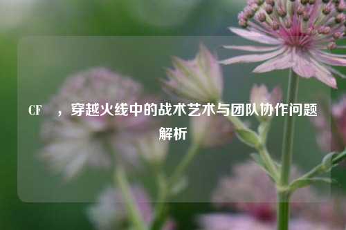 CF珽，穿越火线中的战术艺术与团队协作问题解析