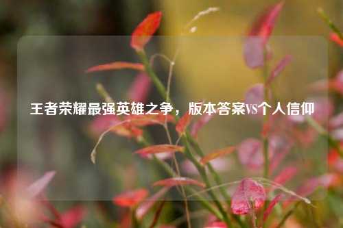 王者荣耀最强英雄之争,版本答案VS个人信仰