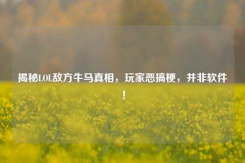 揭秘LOL敌方牛马真相，玩家恶搞梗，并非软件！