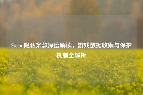 Steam隐私条款深度解读,游戏数据收集与保护机制全解析