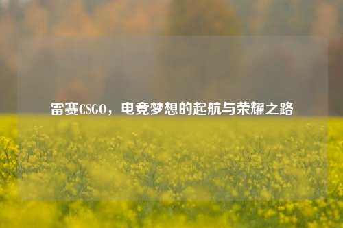 雷赛CSGO，电竞梦想的起航与荣耀之路