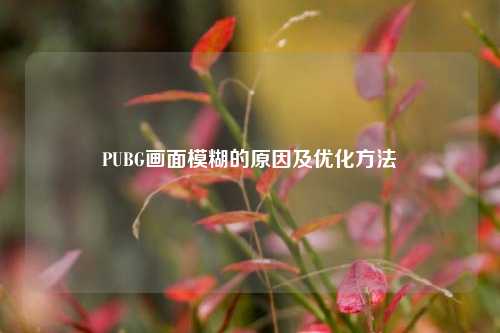 PUBG画面模糊的原因及优化方法