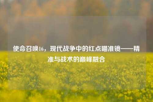 使命召唤16,现代战争中的红点瞄准镜——精准与战术的巅峰融合
